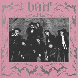 Pochette de Stray Kids - Do It
